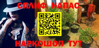 стафф Пыть-Ях
