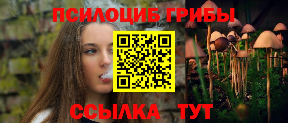 Россия  Галлюциногенные грибы MAGIC MUSHROOMS  Псилоцибиновые грибы Magic Shrooms  Вход с VPN 